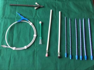 Reborn Medical Pcnl Percutaneous Nephrostomy Catheter Set with CE Certificate