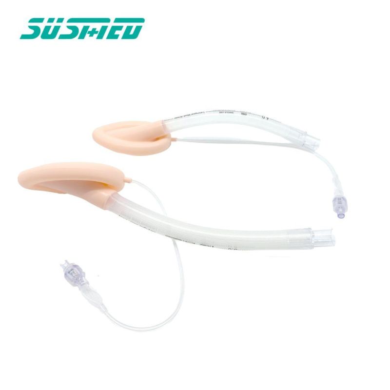 Cheap Disposable Double Lumen Laryngeal Mask Airway