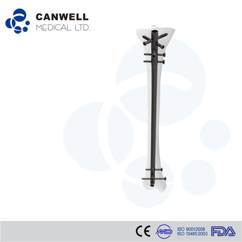 Expert Tibia Intramedullary Nail Titanium Surgical Implant Nail