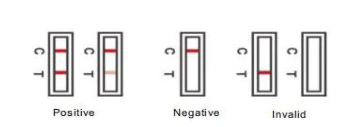 Medical Rapid Test for Antigen Diagnostic Test Kits for 19 with CE Certificate