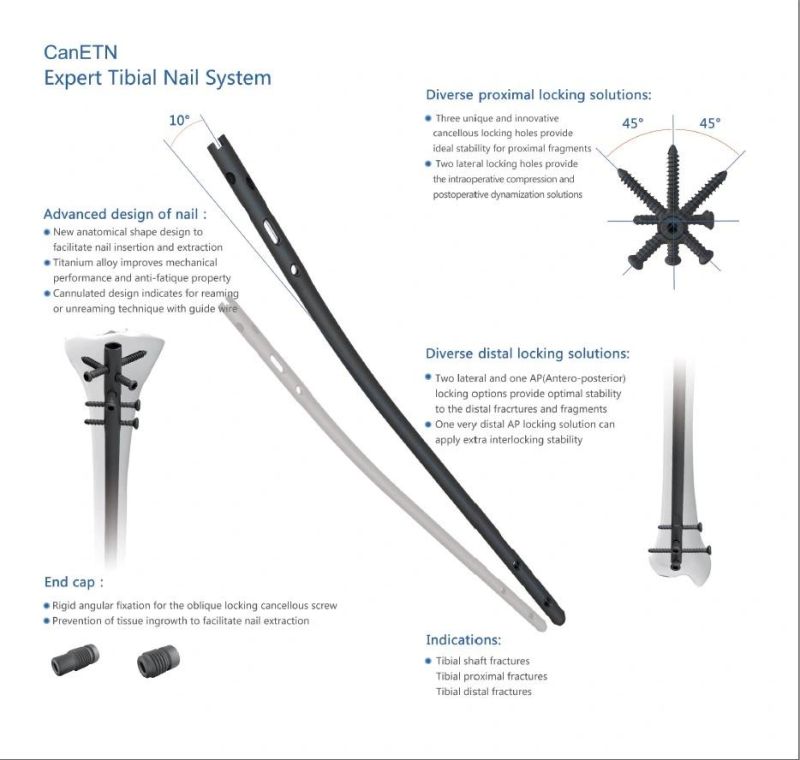 Locking Screw for Expert Tibia Intramedullary Nail Titanium Surgical Plate Price