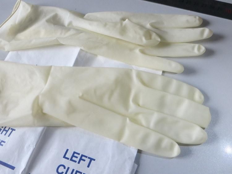 Disposable Latex (Natural Rubber) Surgical Gloves