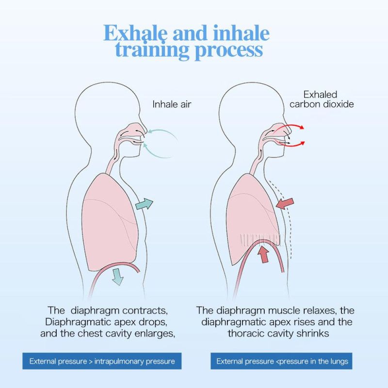 Breather Hand-Held Inspiratory Respiratory Muscle Trainer