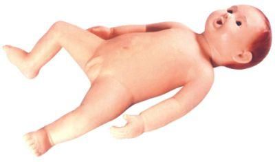 Medical Teaching Model-Advanced Infant Care Model Baby Care Model