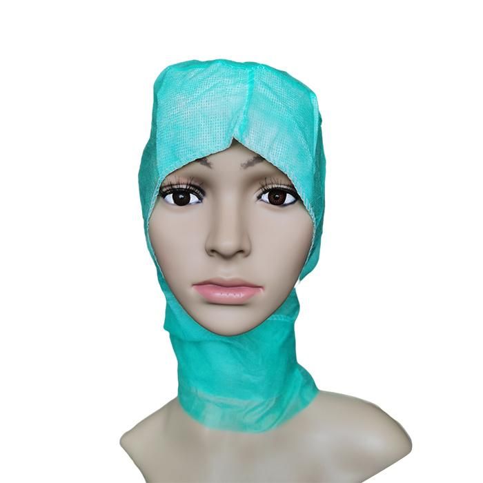 ISO13485 Workshop Cleanroom Elastic Dust Proof Protective Food Service Salon and SPA Room PP Non Woven Balaclava Disposable with Elastic Edge