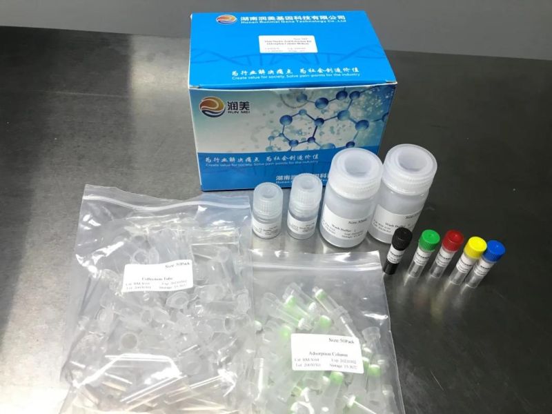 Salmonella Nucleic Acid Detection Pre-Packed Kit (fluorescence PCR method)