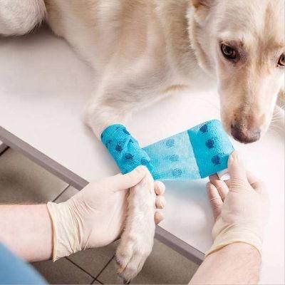 Pet Healthcare Center Self Adhesive Waterproof Cohesive Elastic Bandage with TUV Rheinland CE FDA Certified