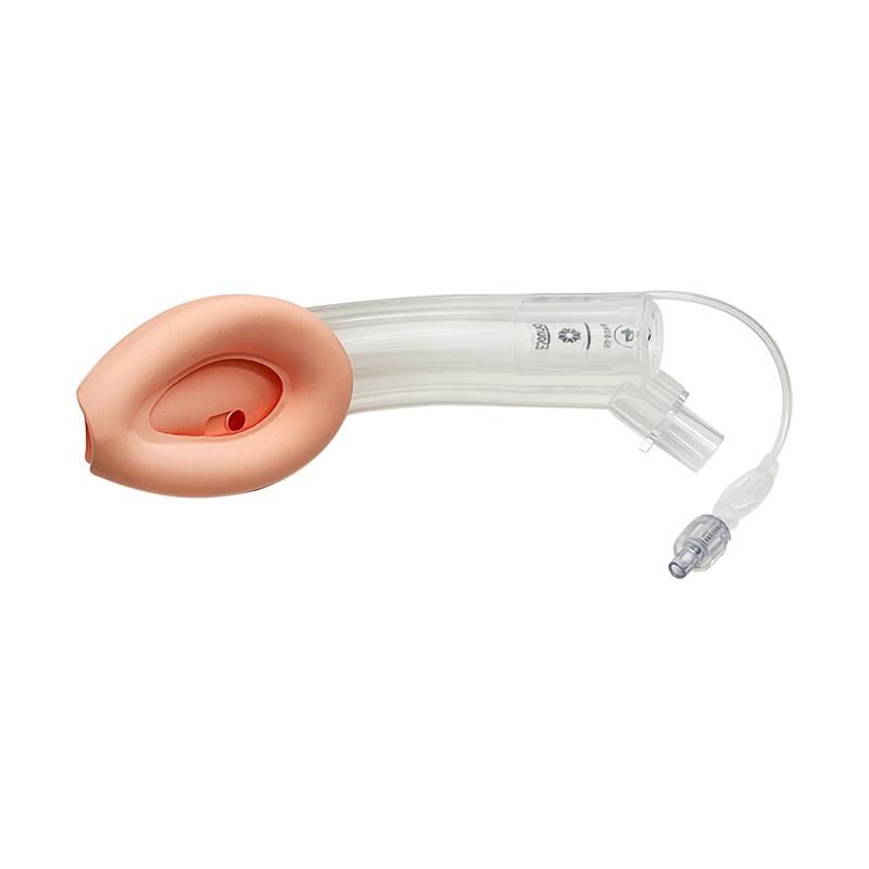 Medical Silicone Double-Lumen Laryngeal Mask Airway Disposable Stomach Airway (III)