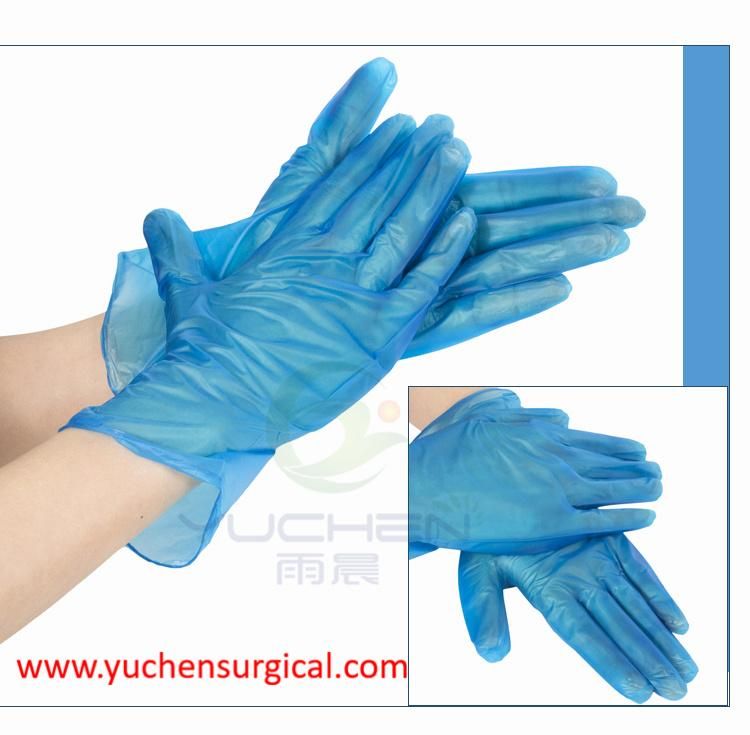 Disposable Clear/Blue Vinyl Gloves