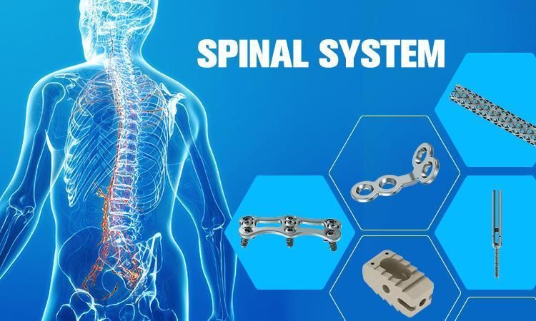 Medical Equipment Cervical Pedicle Screw System Spine Screw