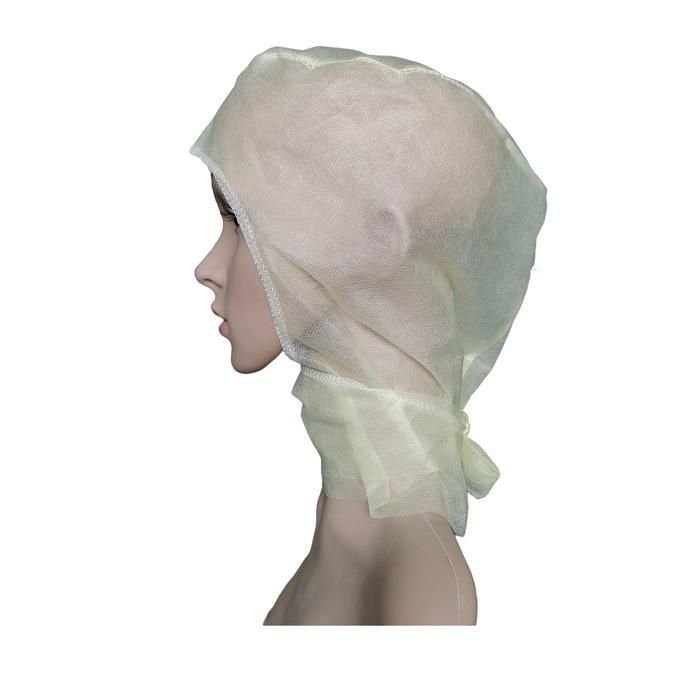 ISO13485 Manufacturer Salon and SPA Room Polypropylene Dust Proof Hair Cover Workshop Electronic Industry Disposable Balaclava Cap