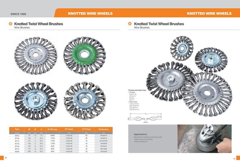 Abrasive Wire Disc Brush for Deburring/Polishing of Plates