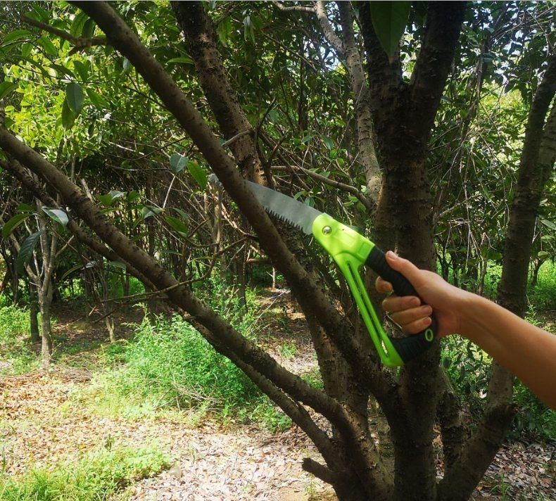 Folding Hand Saw Tree Branch Cutting Saw