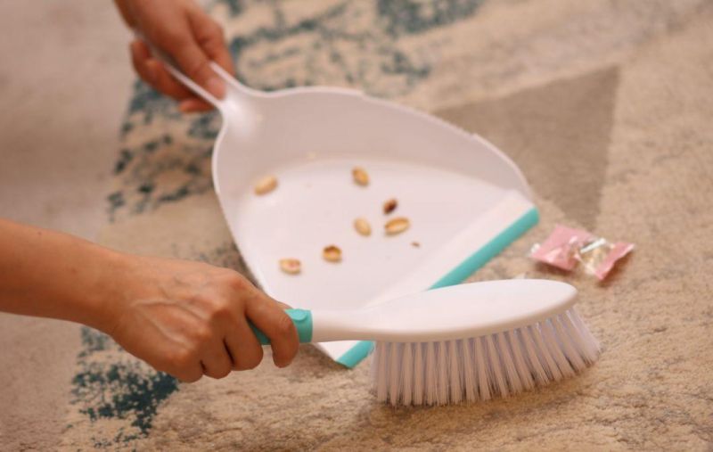 Plastic and Dustpan with Brush of Cleaning Tool