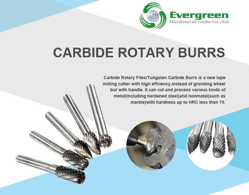 Single & Double Cut Tungsten Carbide Burrs Carbide Rotary Burr for Power Tools