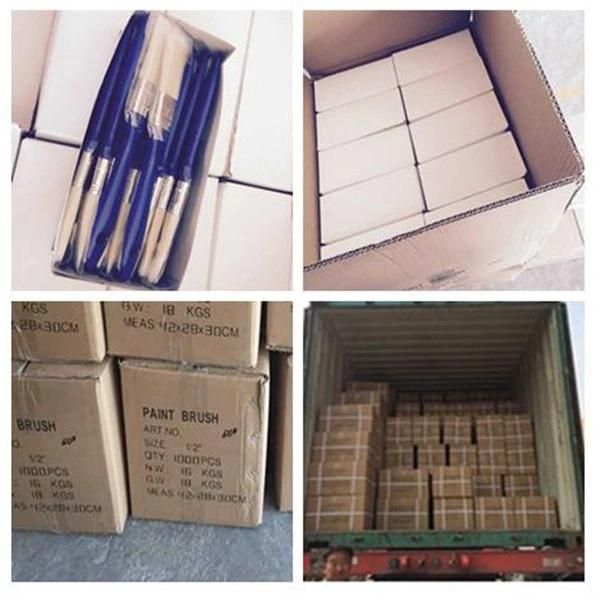 57mm Chungking Boiled Bristles for Paint Brush