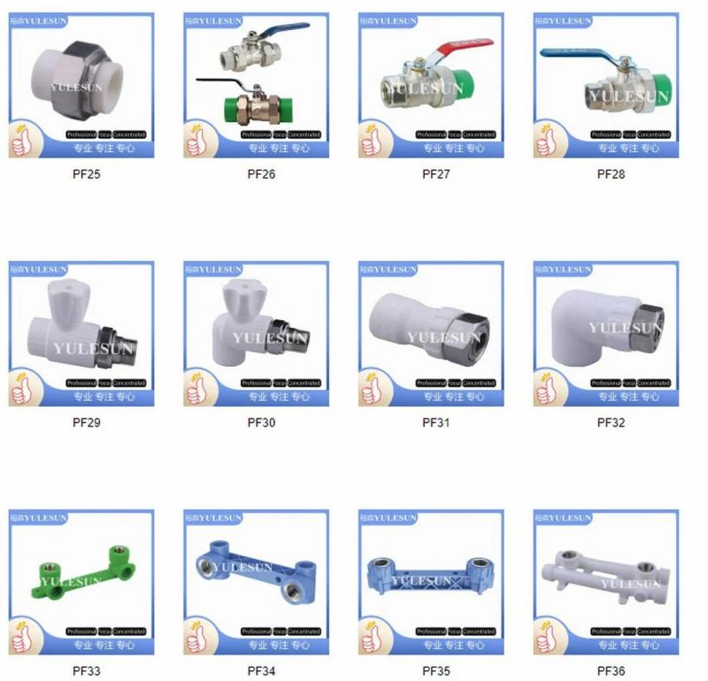 PPR Pipe and Fittings Factory Installation Tools for PPR Pipe