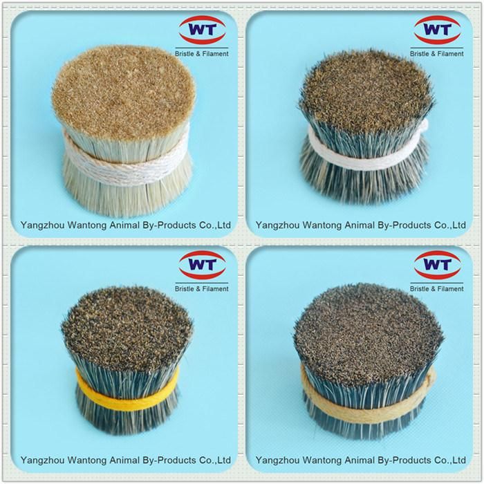 Top Quality Chungking Natural Hog Bristles