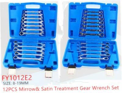 12PCS Professional Blowing Case Gear Wrench Set (FY1012E2)