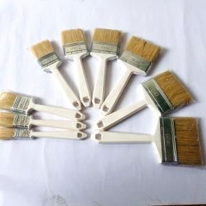 Cleaning Brush with Mixture Bristle