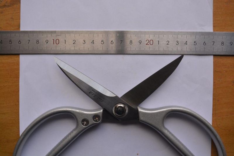 Be Current Various Styles and Specifications of Scissors Set