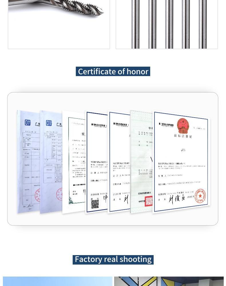 Hsse-M35 Long Shank 100mm Spiral Fluted Taps M1.6 M2 M2.5 M2.6 M3 M3.5 M4 M5 M6 M8 M10 M12 Machine Thread Screw Tap
