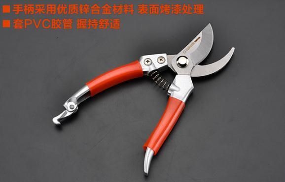 Garden Scissors, Garden Shears, Family Pruning Shears, Stainless Steel Fruit Tree Scissors, Al-630415