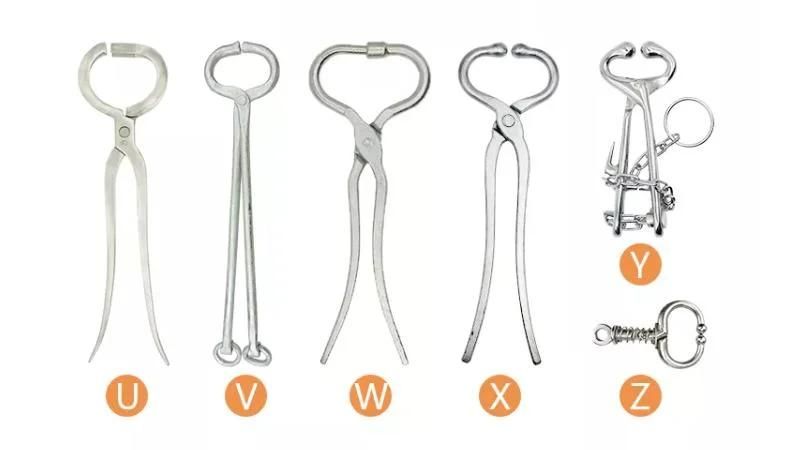 Veterinary Bull Ring Plier with Chain (ox)