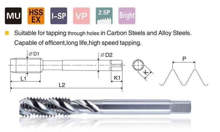 HSS ISO Standard Spiral Tap with Straight Shank