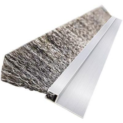 Steel Strip Brush Sintering, Wire Brush Stainless Steel, Door Brush