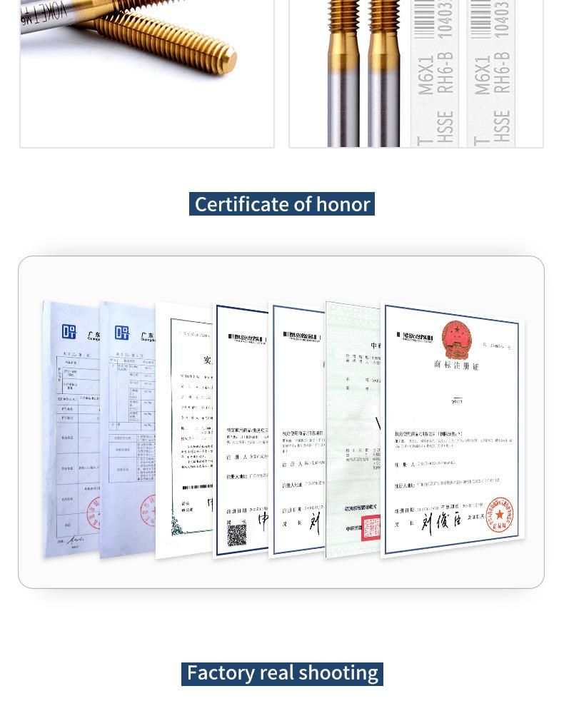 Hsse-M42 with Tin Forming Taps M0.5 M0.6 M0.7 M0.8 M0.9 M1 M1.1 M1.2 M1.4 M1.5 M1.6 M1.7 M1.8 M2 M2.2 M2.5 M2.6 M3 M4 M5 M5.5 M6 Machine Roll Thread Screw Tap