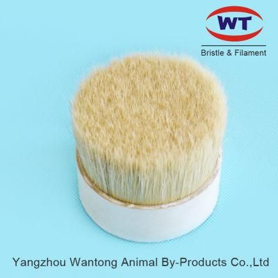 Chungking 60~90%Tops Natural White Pig Hair