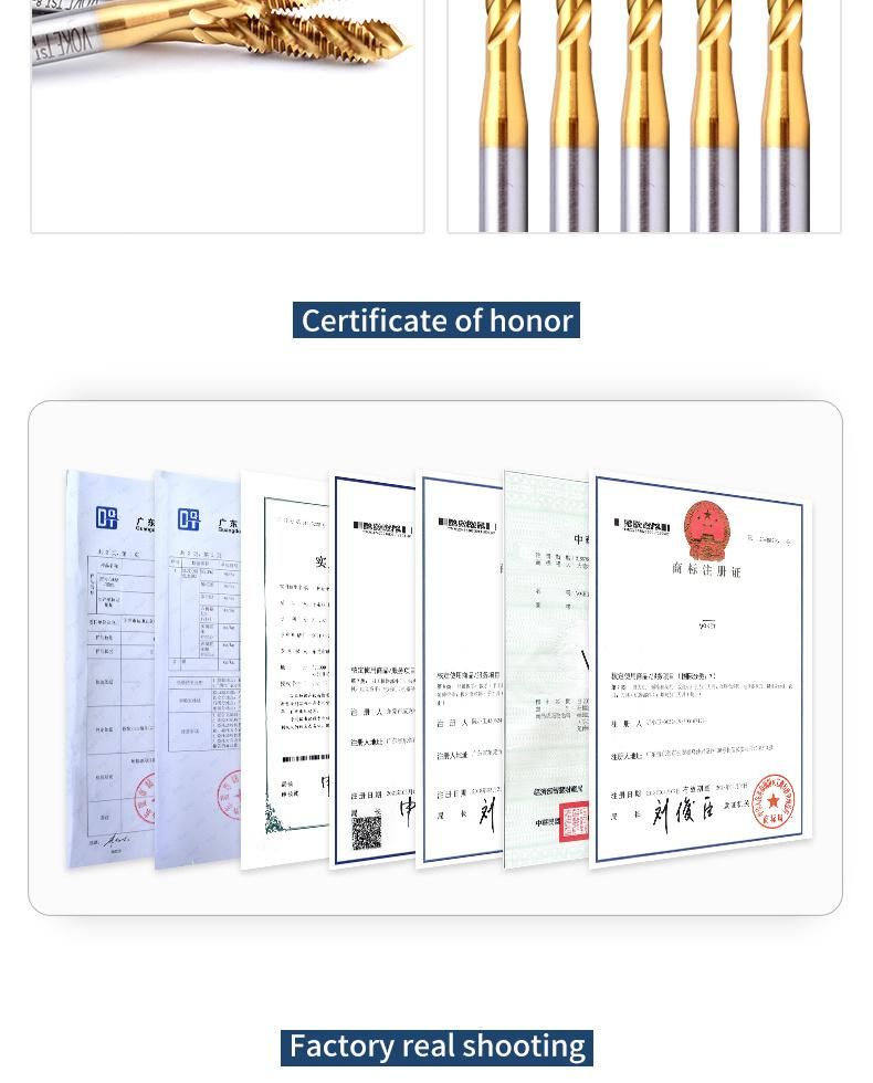 Hsse-M35 JIS Insert with Tin Spiral Fluted Taps St Unc Unf 2-56 4-40 6-32 8-32 10-24 10-32 1/4 5/16 3/8 1/2 Machine Thread Screw Tap