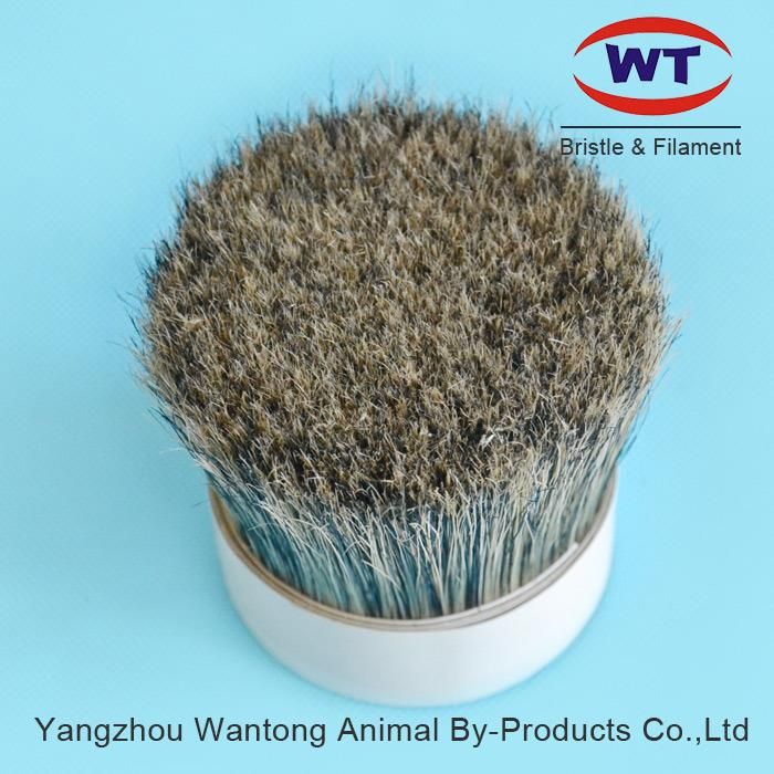 Top Quality Chungking Natural Hog Bristles