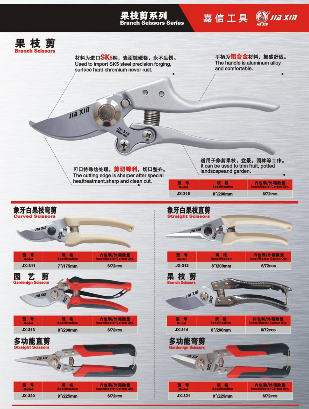 Be Current Various Styles and Specifications of Scissors Set