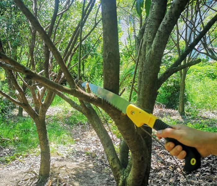 Colorful Plastic Handle Manganese Steel Blade Gardening Pruning Saws for Tough Branches