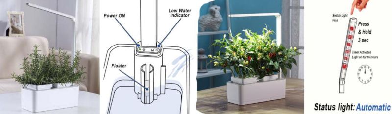 Smart Hydroponic Integrated Planter Super DIY Tool Toy