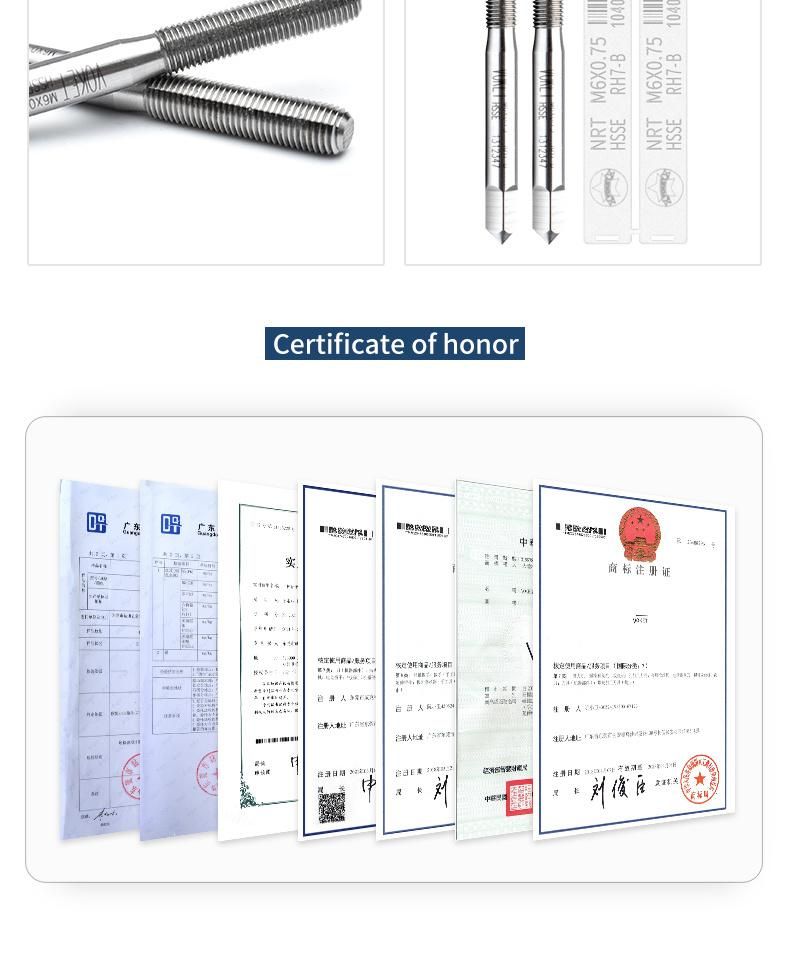 Hsse-M42 JIS Forming Taps M7 M8 M9 M10 M11 M12 M14 M16 M18 M20 Metric Machine Roll Fine Thread Screw Tap