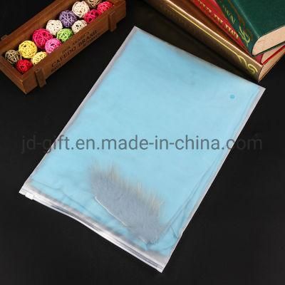 Eco Friendly Zipper Resealable Clothes Packaging Frosted Plastic Ziplock Bag PE Zip Lock Packaging Bag