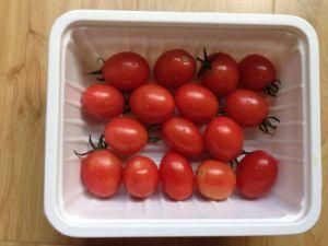 Household Biodegradable Plastic Tray Home Fruits Holder Container Food Grade Disposable Box