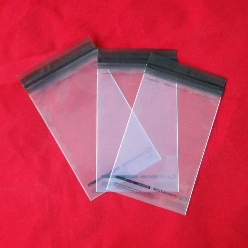 Custom Printing Ziplock Packing Bags