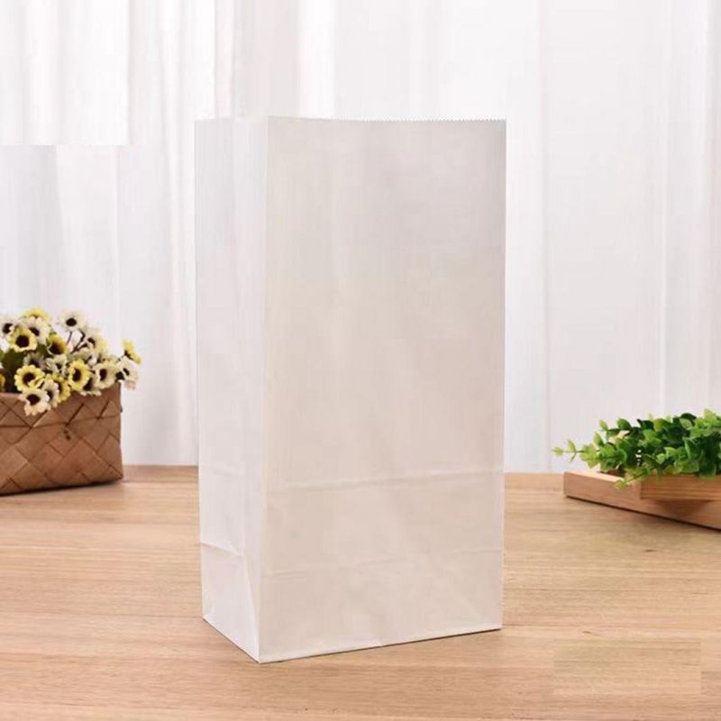 Eco-Friendly White Kraft Paper Bag for Shopping Food Paper Bag