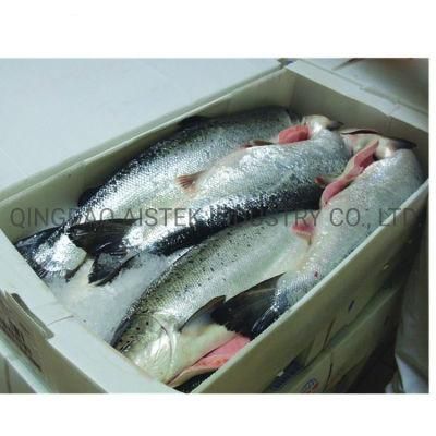 Polypropylene Coroplast Seafood Box Plastic Corrugated Shrimp Box