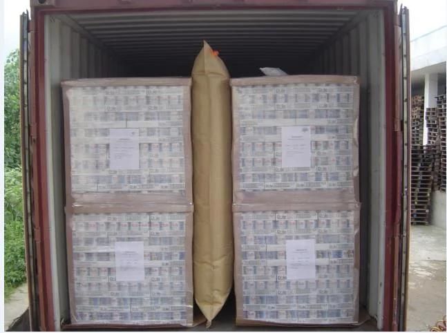 New Style Paper Dunnage Bag for container