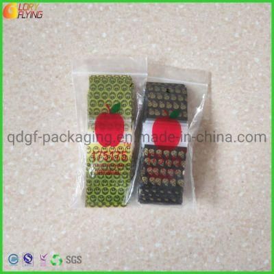 LDPE Small Zipper Mini Apple Baggies Plastic Packaging Bags From Manufacturer