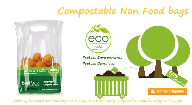 Custom Printed Eco Friendly Biodegradable Compostable Plastic Shopping Bag