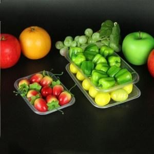 Plastic Vegetable Shallow Tray Box