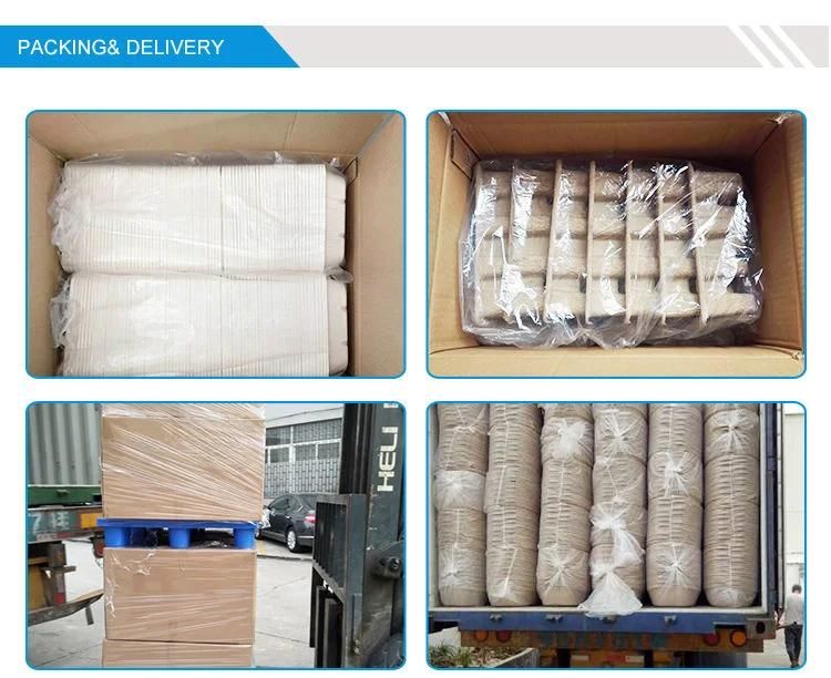 Factory Wholesale 100% Biodegradable Sugarcane Molded Pulp Cosmetics Various Trays