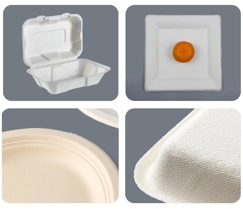 Biodegradable Compostable Disposable Eco Friendly Bagasse Sugarcane Food Packaging