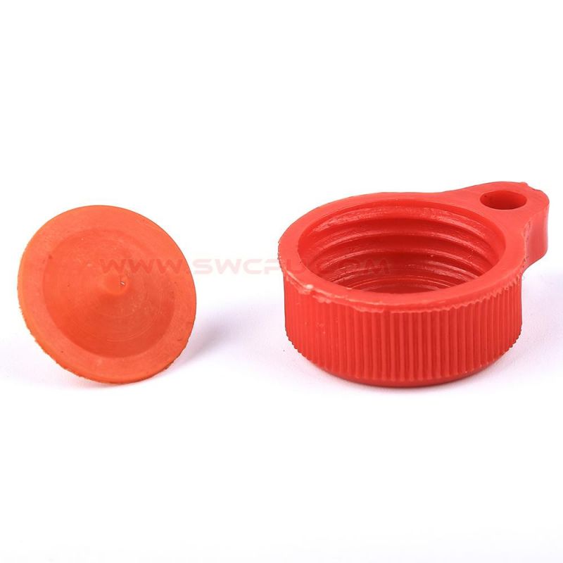 Customized OEM Rivet with Plastic Cap/Cover